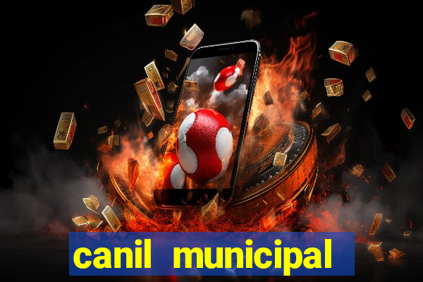 canil municipal porto alegre