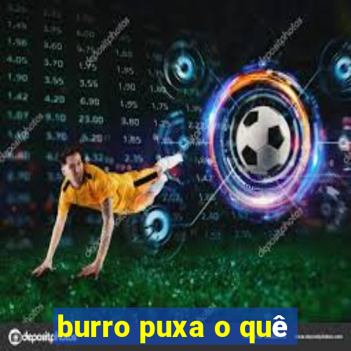 burro puxa o quê