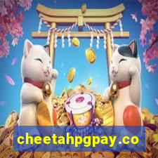 cheetahpgpay.com